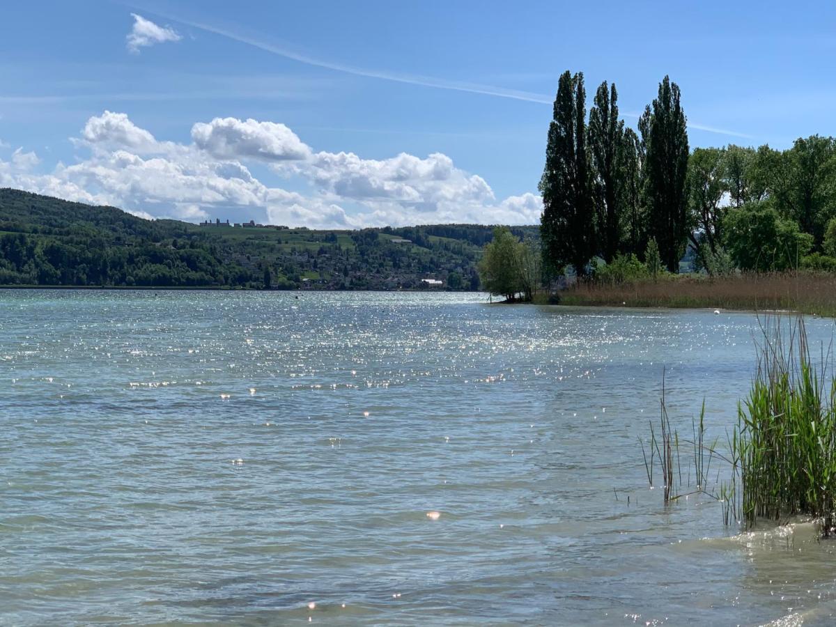 Hotel Gaestehaus Am See Gaienhofen  Esterno foto